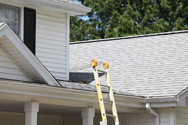 Affordable Siding Repair and Maintenance Services in Hazlehurst, GA